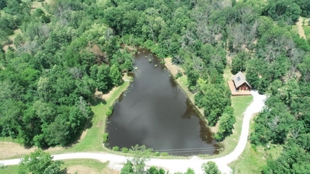 Secluded Cabin on 40 Acres Recreational Land, Cedar Co, MO - image 7
