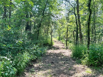 Secluded Cabin on 40 Acres Recreational Land, Cedar Co, MO - image 49