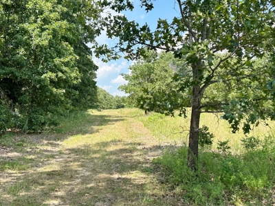 Secluded Cabin on 40 Acres Recreational Land, Cedar Co, MO - image 39
