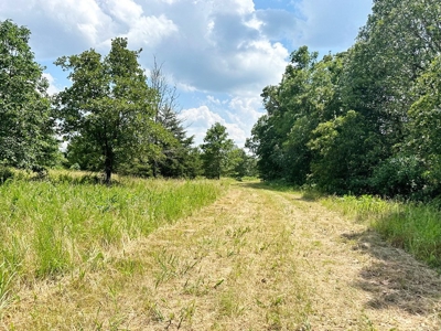 Secluded Cabin on 40 Acres Recreational Land, Cedar Co, MO - image 42