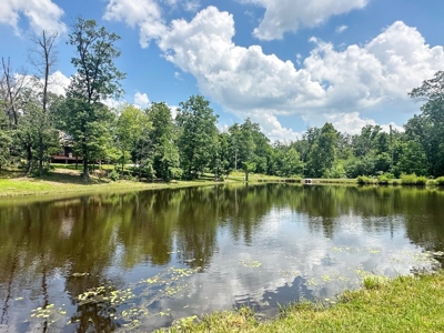 Secluded Cabin on 40 Acres Recreational Land, Cedar Co, MO - image 30