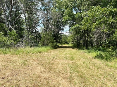 Secluded Cabin on 40 Acres Recreational Land, Cedar Co, MO - image 40