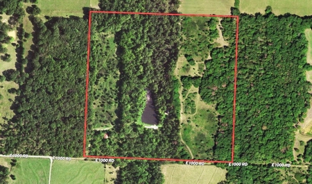 Secluded Cabin on 40 Acres Recreational Land, Cedar Co, MO - image 4
