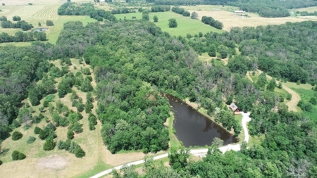 Secluded Cabin on 40 Acres Recreational Land, Cedar Co, MO - image 6