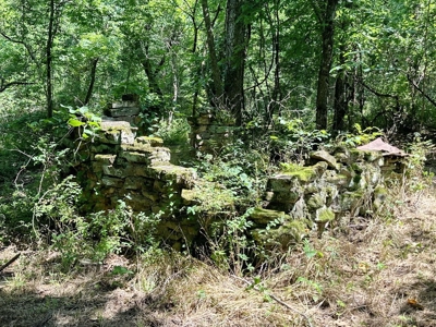 Secluded Cabin on 40 Acres Recreational Land, Cedar Co, MO - image 46