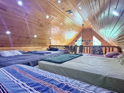 Secluded Cabin on 40 Acres Recreational Land, Cedar Co, MO - image 25
