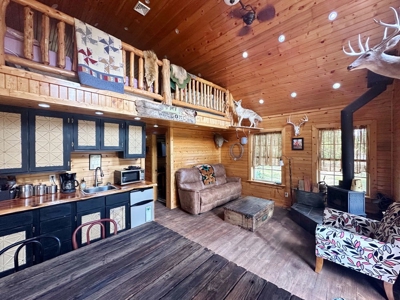 Secluded Cabin on 40 Acres Recreational Land, Cedar Co, MO - image 15