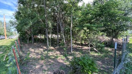 Two Story Home For Sale in Ridgeway MO - image 31