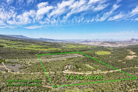 Mountain Home with Acreage and Views For Sale in Colorado - image 4