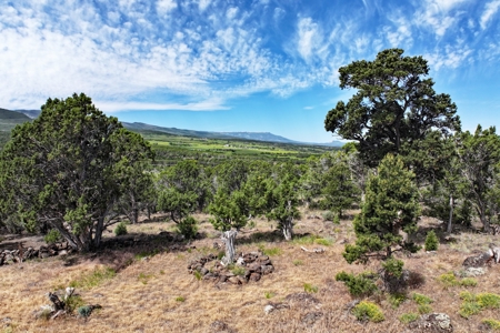 Mountain Home with Acreage and Views For Sale in Colorado - image 34
