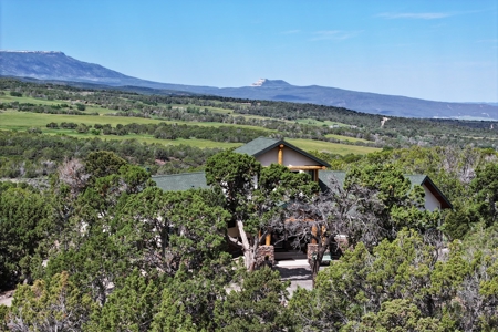 Mountain Home with Acreage and Views For Sale in Colorado - image 3