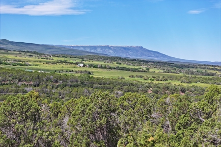 Mountain Home with Acreage and Views For Sale in Colorado - image 37