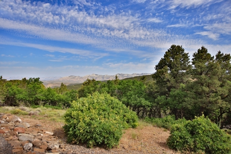 Mountain Home with Acreage and Views For Sale in Colorado - image 35