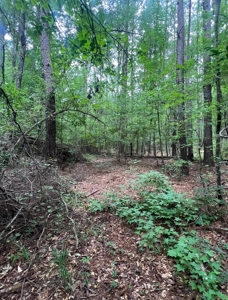 000 Cooper Church Road, Leesville, Louisiana - image 10