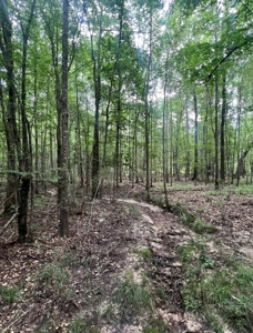 000 Cooper Church Road, Leesville, Louisiana - image 14