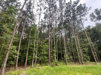 000 Cooper Church Road, Leesville, Louisiana - image 5