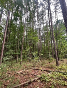 000 Cooper Church Road, Leesville, Louisiana - image 7