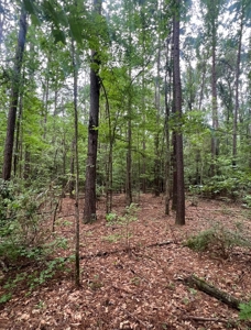 000 Cooper Church Road, Leesville, Louisiana - image 9