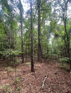 000 Cooper Church Road, Leesville, Louisiana - image 21