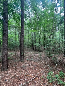 000 Cooper Church Road, Leesville, Louisiana - image 27