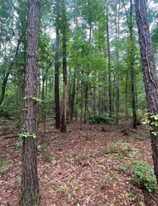 000 Cooper Church Road, Leesville, Louisiana - image 8