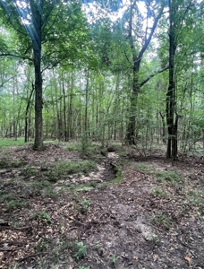 000 Cooper Church Road, Leesville, Louisiana - image 13