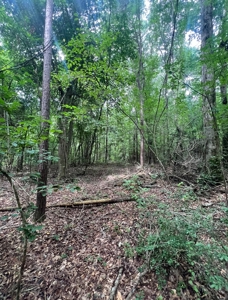 000 Cooper Church Road, Leesville, Louisiana - image 22