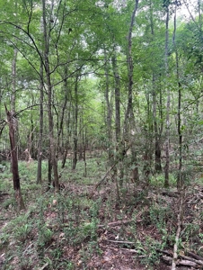 000 Cooper Church Road, Leesville, Louisiana - image 19