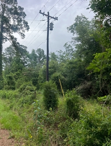 000 Cooper Church Road, Leesville, Louisiana - image 2