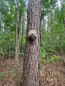 000 Cooper Church Road, Leesville, Louisiana - image 6