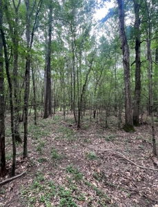 000 Cooper Church Road, Leesville, Louisiana - image 15