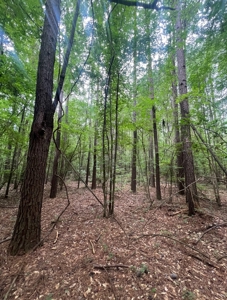 000 Cooper Church Road, Leesville, Louisiana - image 24