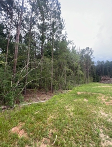 000 Cooper Church Road, Leesville, Louisiana - image 4