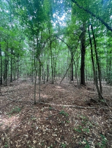 000 Cooper Church Road, Leesville, Louisiana - image 23