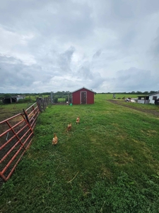 Home and Acreage For Sale - image 5