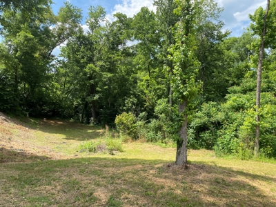 Commercial Property For Sale In Hardin County, Tn! - image 34