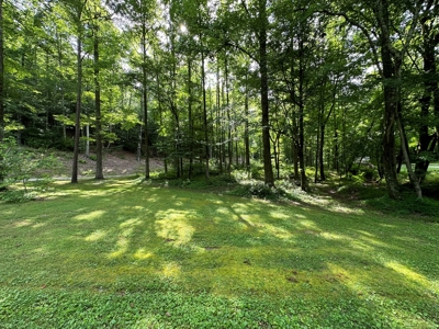 Private 3Br Home With Creek & 10.8Ac In Wayne County, Tn - image 42