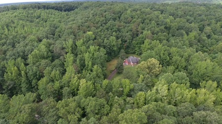 Private 3Br Home With Creek & 10.8Ac In Wayne County, Tn - image 39