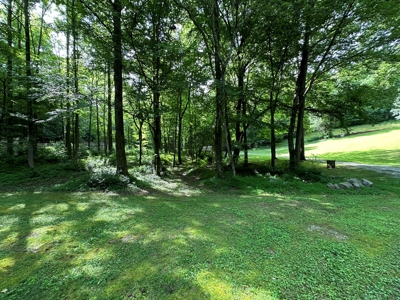 Private 3Br Home With Creek & 10.8Ac In Wayne County, Tn - image 41