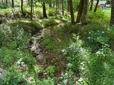 Private 3Br Home With Creek & 10.8Ac In Wayne County, Tn - image 5