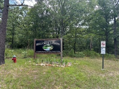 5.44+/- Acres For Sale in Mountain View, AR - image 16