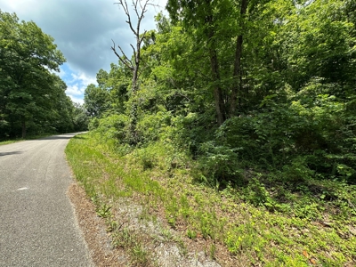 5.44+/- Acres For Sale in Mountain View, AR - image 5