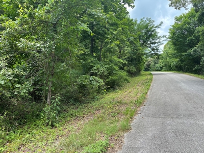 5.44+/- Acres For Sale in Mountain View, AR - image 15