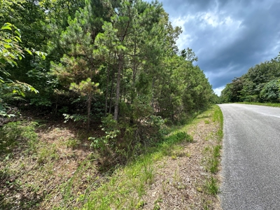 5.44+/- Acres For Sale in Mountain View, AR - image 12