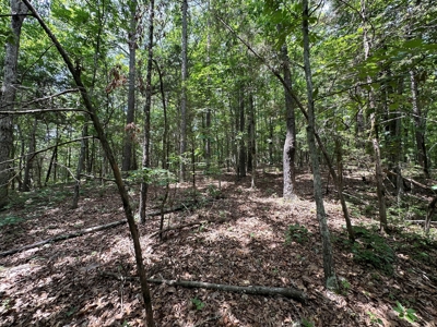 5.44+/- Acres For Sale in Mountain View, AR - image 11