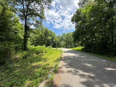 5.44+/- Acres For Sale in Mountain View, AR - image 4