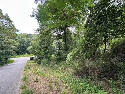 5.44+/- Acres For Sale in Mountain View, AR - image 13