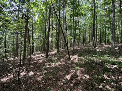 5.44+/- Acres For Sale in Mountain View, AR - image 9