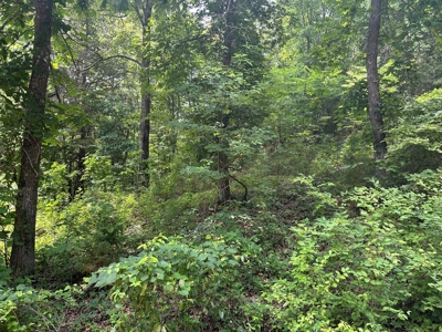 5.44+/- Acres For Sale in Mountain View, AR - image 14