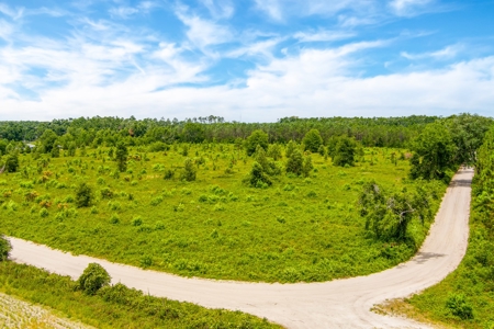 Land For Sale In Lafayette County!!! - image 17
